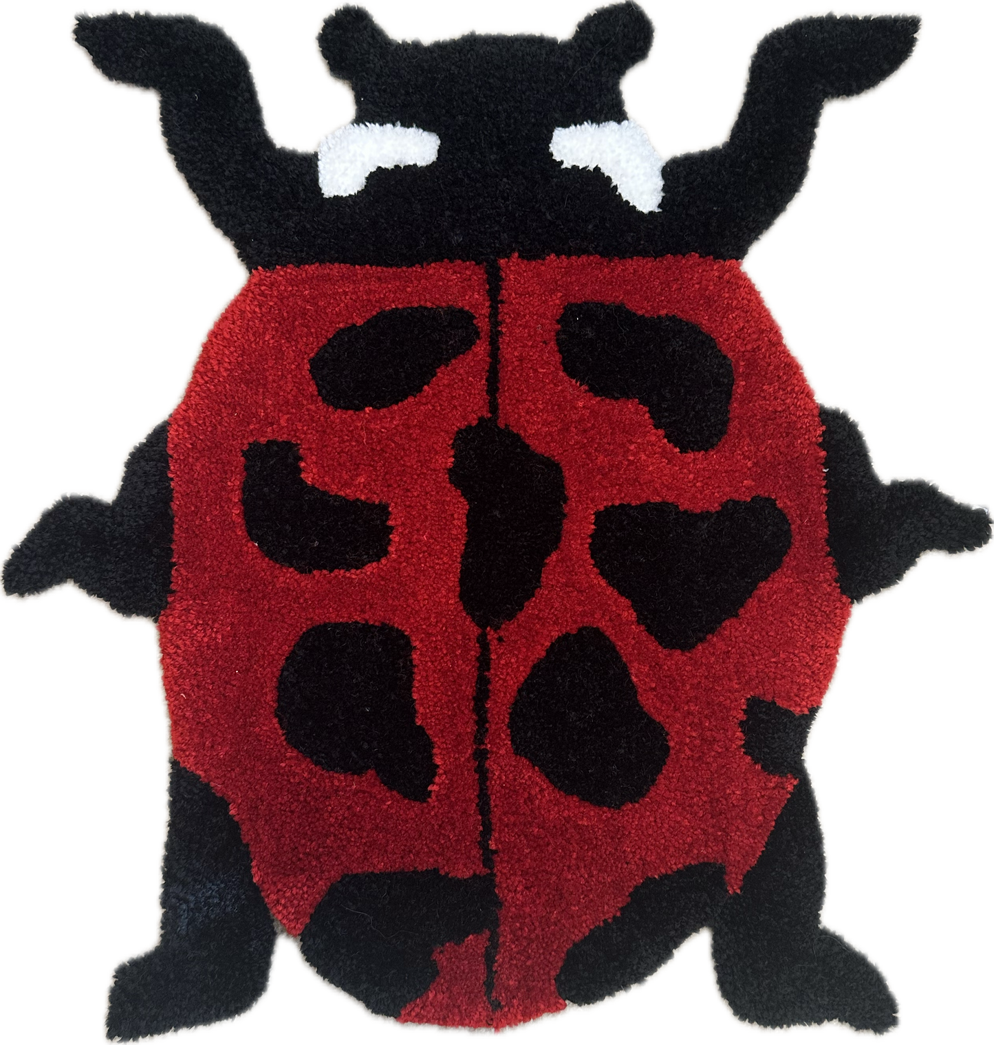 Ladybug Rug