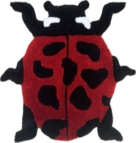 Ladybug Rug